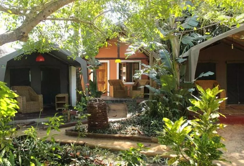 کلبه ییلاقی, Devocean Eco Adventure Lodge