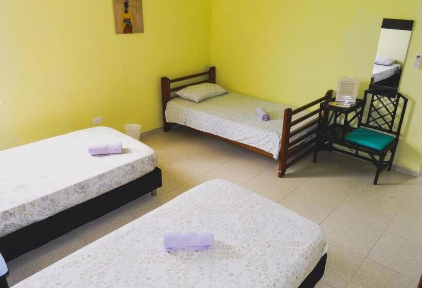 חדר סטנדרט לשלושה, Hostel Stingray