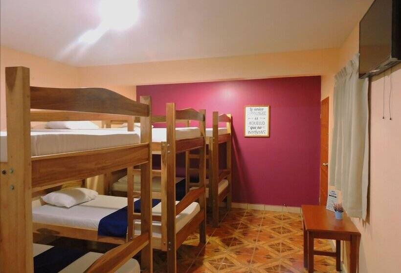 تختخواب در اتاق مشترک, Xolotlán Hostel