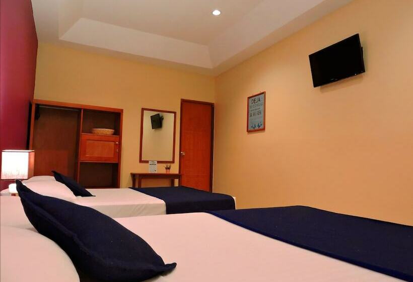 اتاق استاندارد برای معلولان, Xolotlán   Hostel