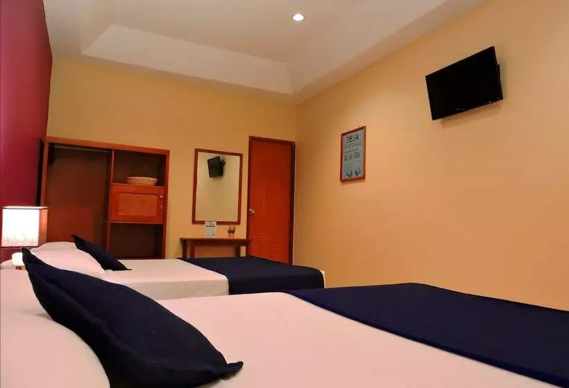 اتاق استاندارد برای معلولان, Xolotlán   Hostel