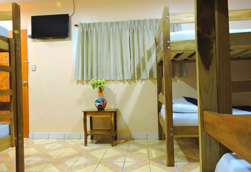 تختخواب در اتاق مشترک, Xolotlán   Hostel