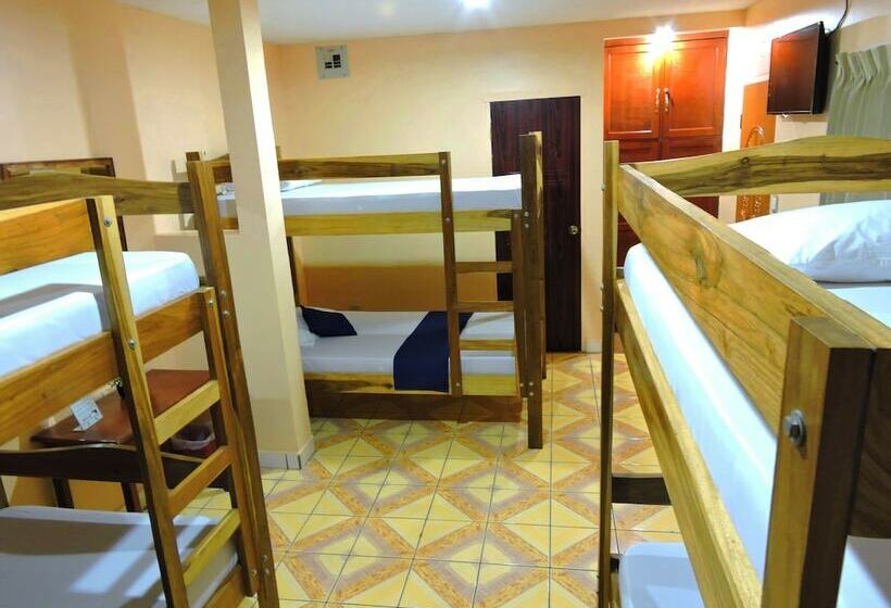 تختخواب در اتاق مشترک, Xolotlán   Hostel