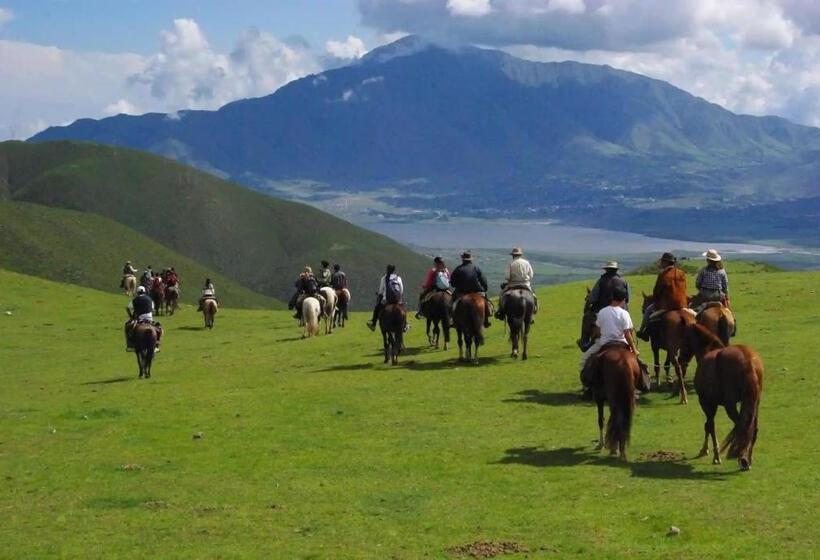 آپارتمان 1 خوابه, Terrazas Del Tafi