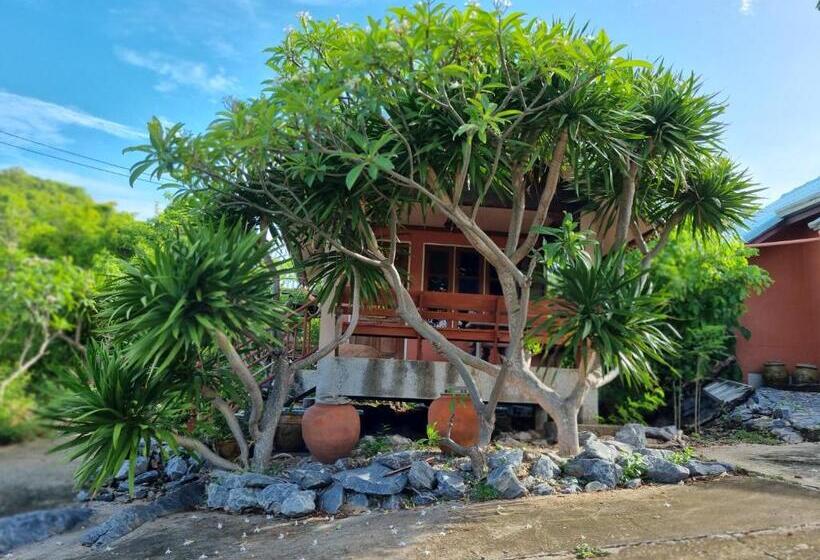 بنجلو قياسى, Hello Sichang Bungalow