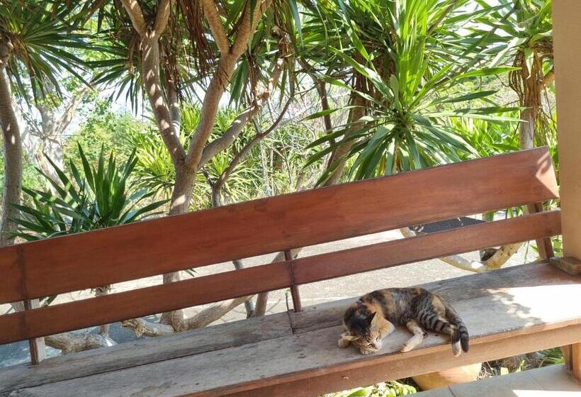 بنجلو عائلى, Hello Sichang Bungalow