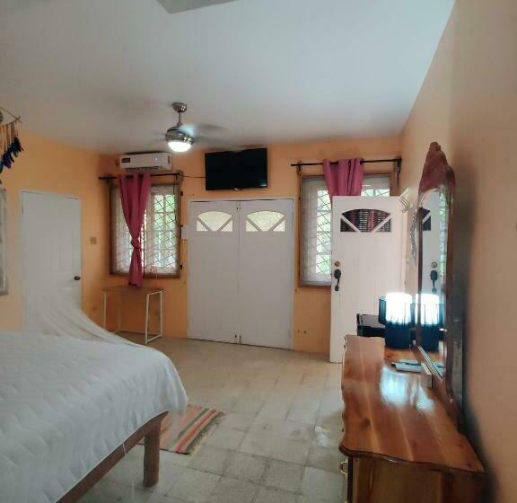 اتاق استاندارد با تخت بزرگ, Villa Havana Negril