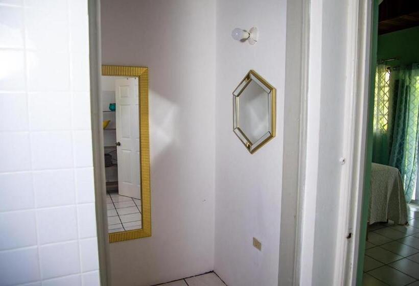 اتاق استاندارد با چشمانداز باغ, Villa Havana Negril