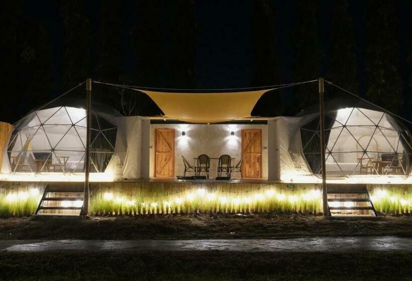 חדר משפחתי, อาลาแคมป์