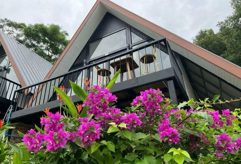 Standard-huone Terassi, Dream Resort