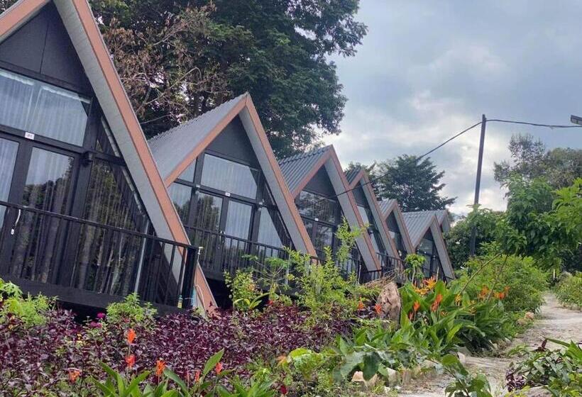 标准间带阳台, Dream Resort