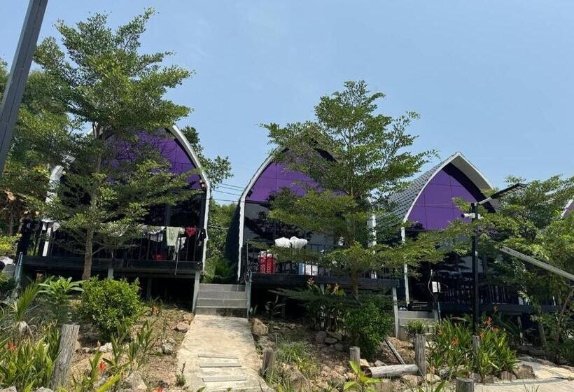 标准间带露台, Dream Resort