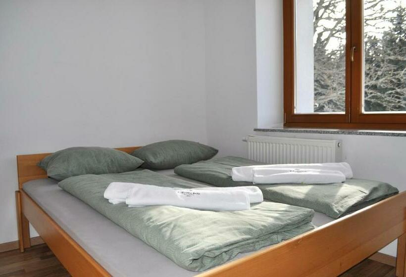 اتاق خانوادگی, Ribniška Koča