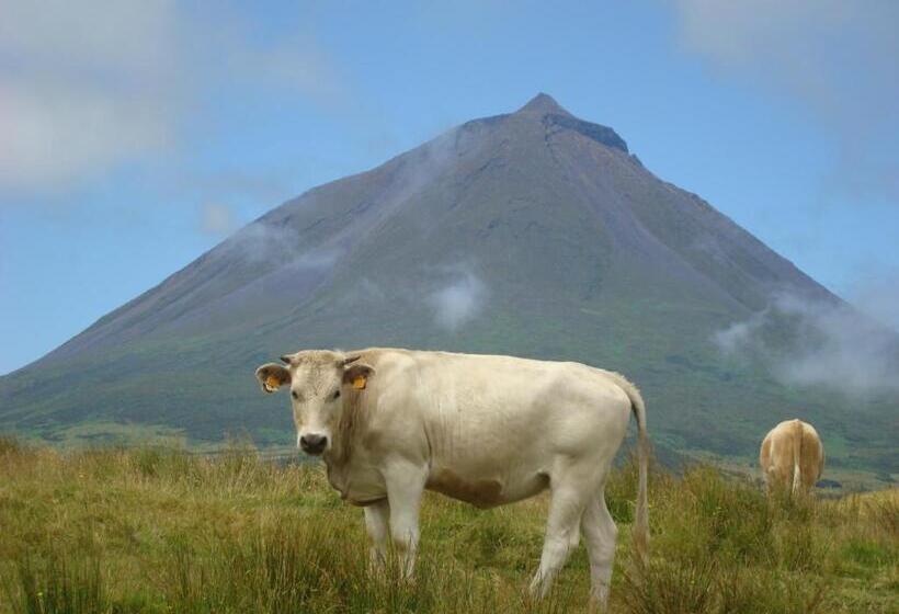 غرفة قياسية, Casa Da Bicuda