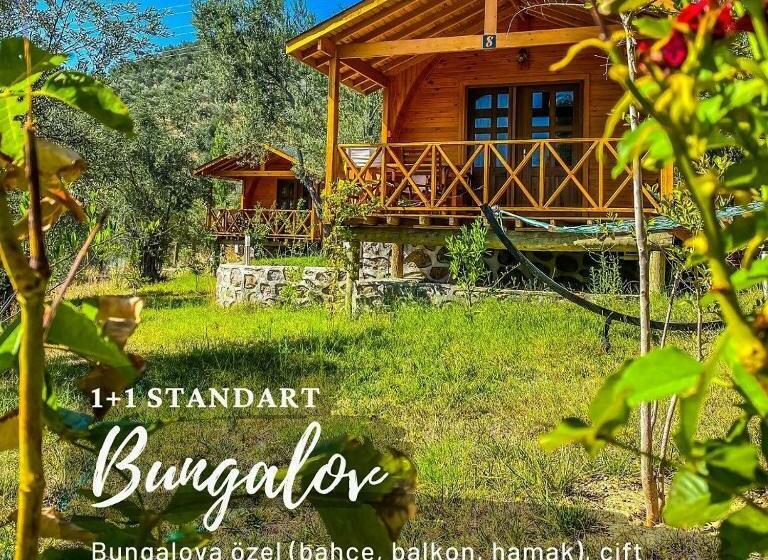 Бунгало Deluxe, Kazdağları Sağlıklı Yaşam Köyü
