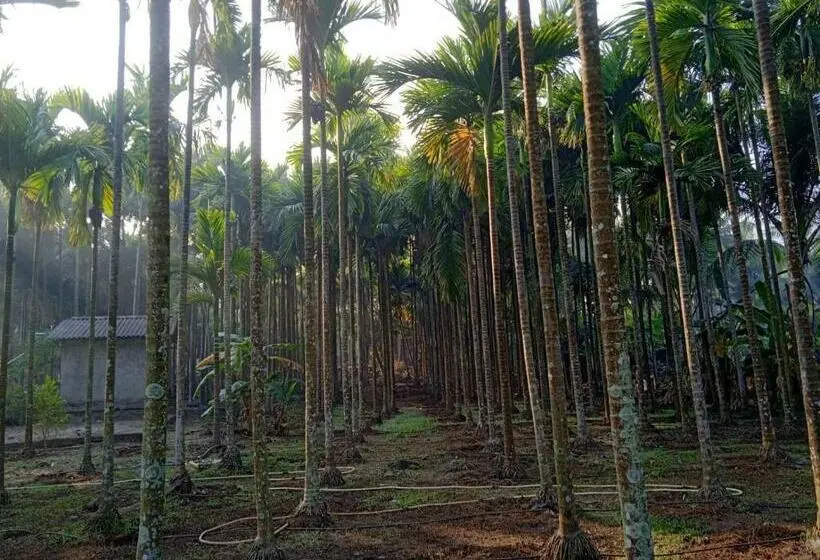 Deluxe-huone, Green Woods Resort Near Kashid Beach