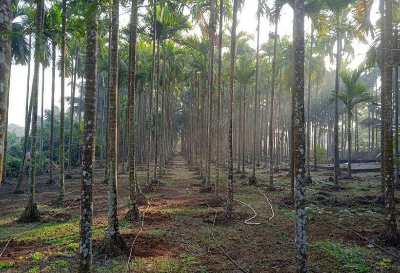 디럭스 룸, Green Woods Resort Near Kashid Beach