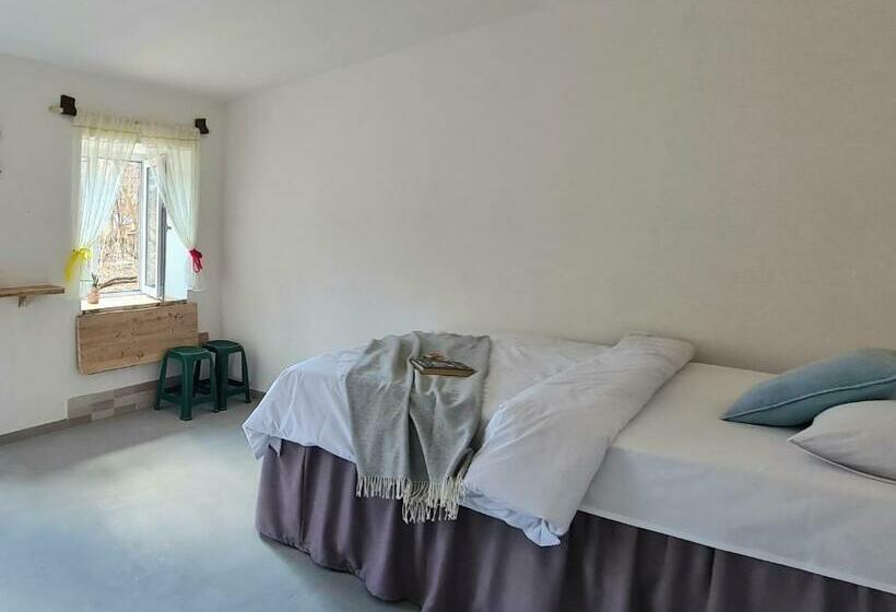 标准房带园景, Budur Guest House