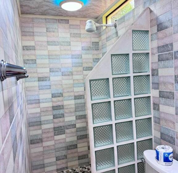 اتاق اکونومی, El Chaman