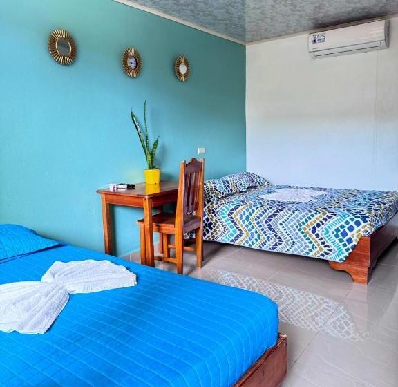 اتاق اکونومی, El Chaman