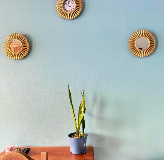 اتاق اکونومی یک تخته, El Chaman