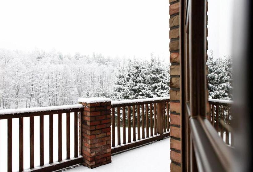 غرفة بريميوم, Aubrecht Country Spa Resort