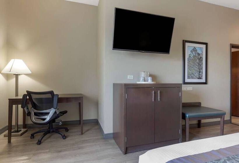 סוויטה, Best Western Plus Fort Stockton