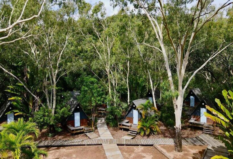 Номер Стандарт Совместная Ванная, Bungalow Bay Koala Village Hostel