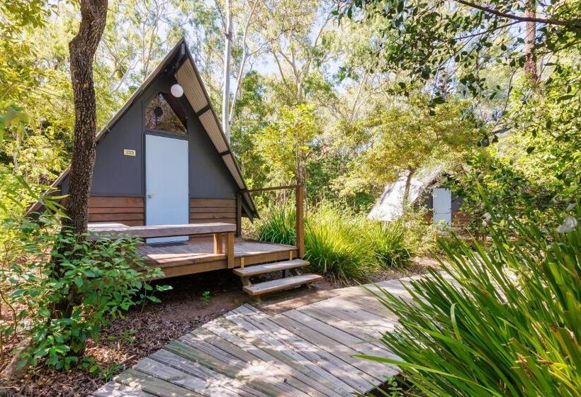 Номер Стандарт Совместная Ванная, Bungalow Bay Koala Village Hostel