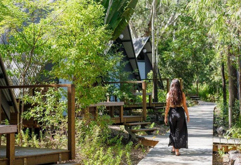 Номер Стандарт Совместная Ванная, Bungalow Bay Koala Village   Hostel