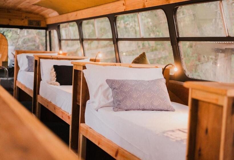 Кровать в Общей Комнате, Bungalow Bay Koala Village Hostel