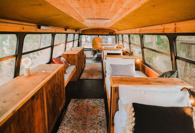Кровать в Общей Комнате, Bungalow Bay Koala Village   Hostel