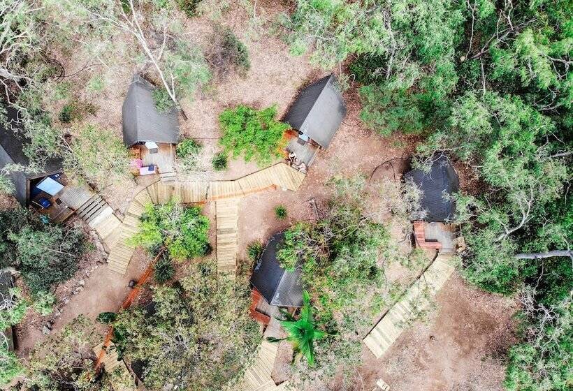 Номер Стандарт, Bungalow Bay Koala Village Hostel