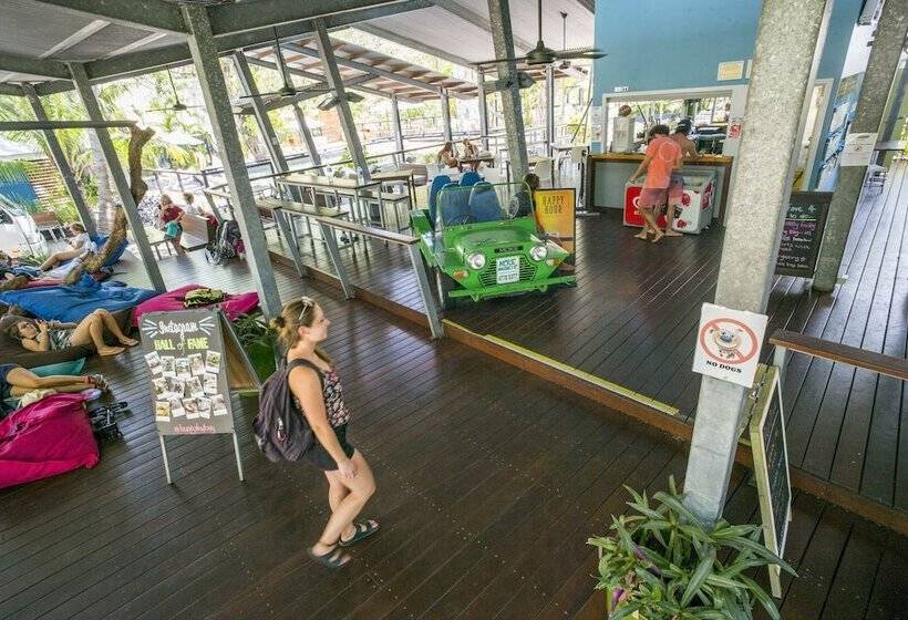 Номер Стандарт, Bungalow Bay Koala Village Hostel