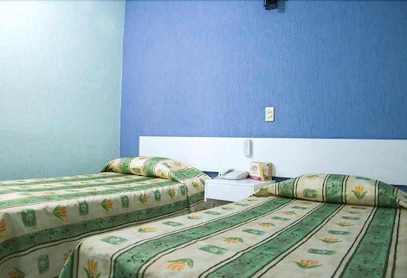 标准间, Dorados Conventions & Resort