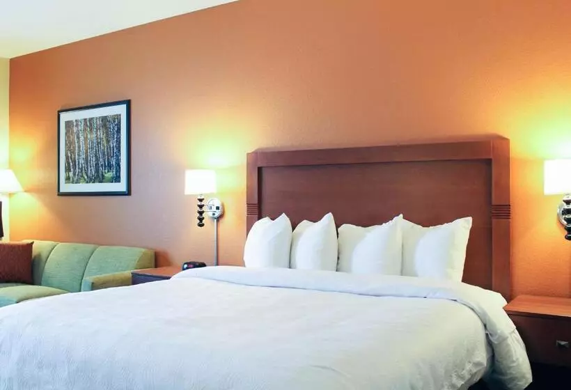 身障者適用スイートルーム, Mainstay Suites Tioga