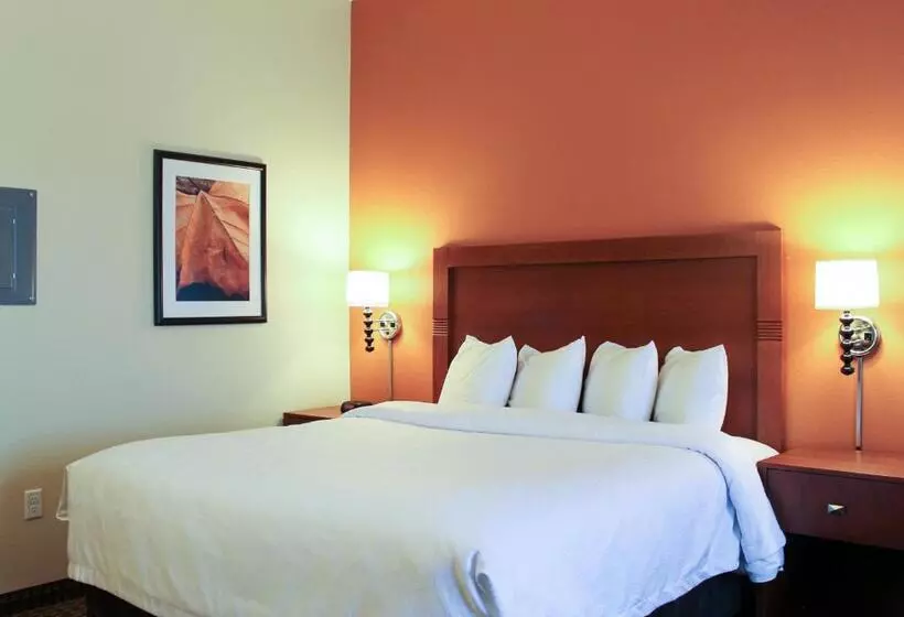 身障者適用スイートルーム, Mainstay Suites Tioga
