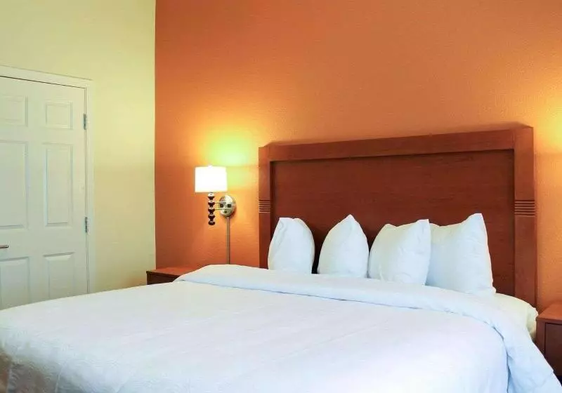 スイート, Mainstay Suites Tioga