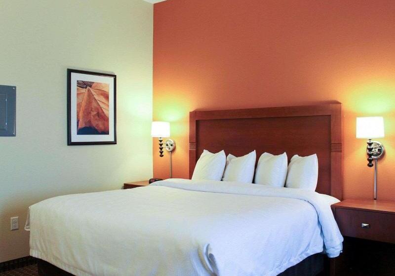 스위트, Mainstay Suites Tioga