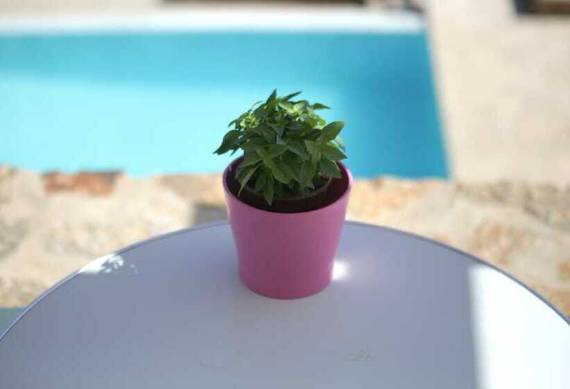 חדר סטודיו סטנדרד, Niriides Homes & Villas