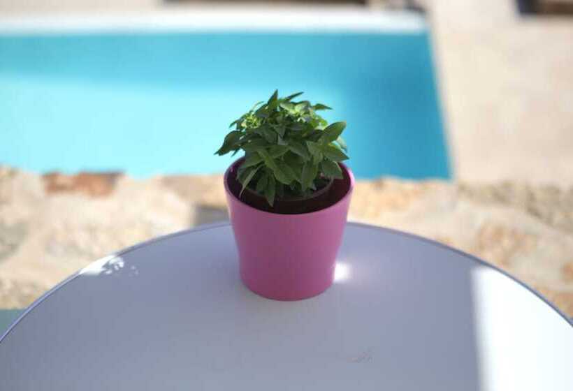 סטודיו סטנדרטי נוף לים, Niriides Homes & Villas