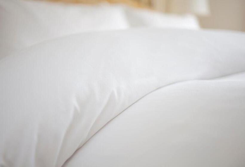 اتاق استاندارد با چشمانداز, St. Regis Macao