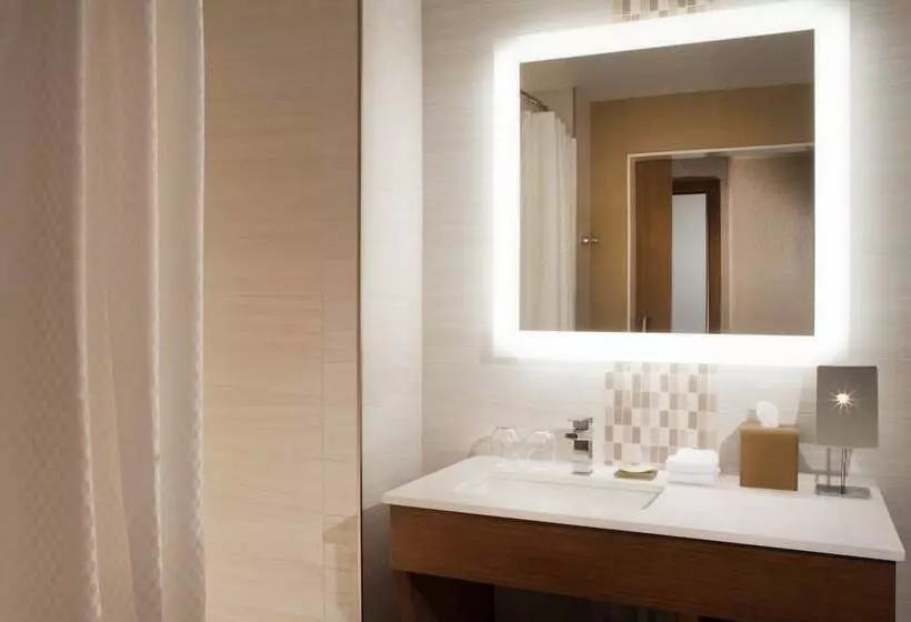 デラックスルーム, The Westin Dallas Downtown