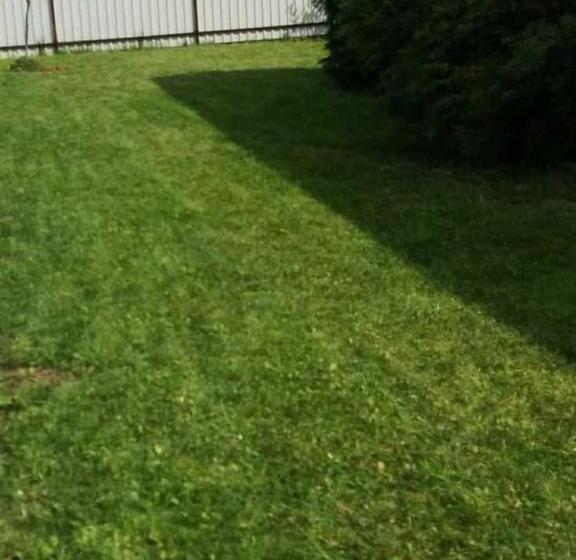 آپارتمان 1 خوابه همکف, Town House