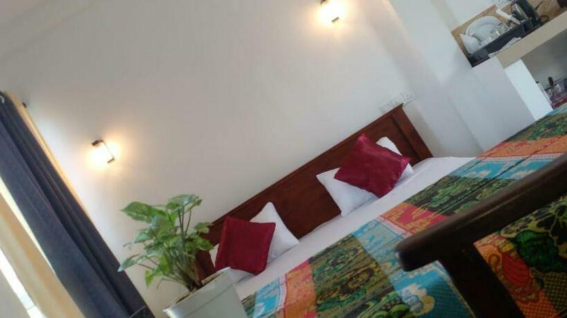 Номер Стандарт, The Freedom