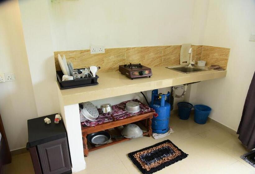 Номер Стандарт, The Freedom