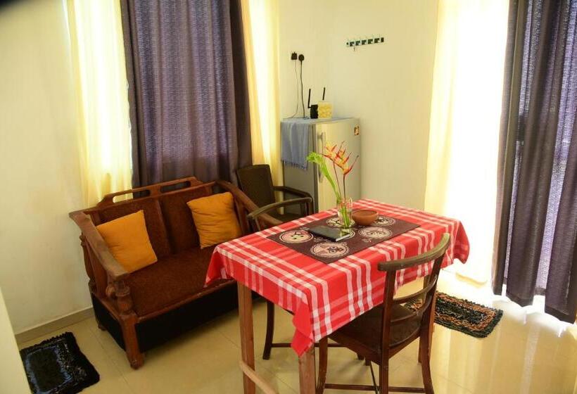 Номер Стандарт, The Freedom