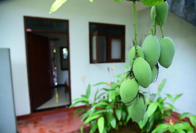 Номер Стандарт Индивидуальный, The Freedom