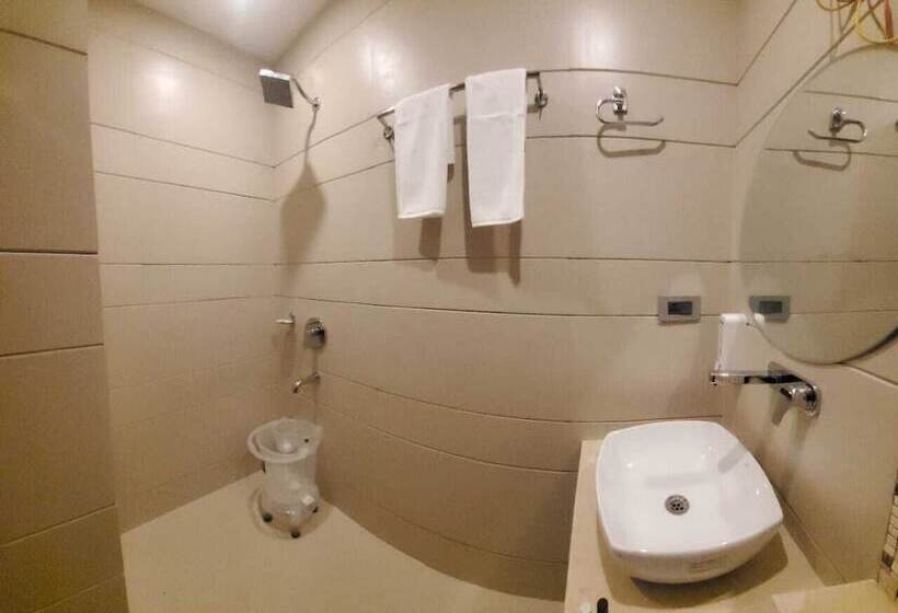 חדר דלוקס, The Sapling Manor