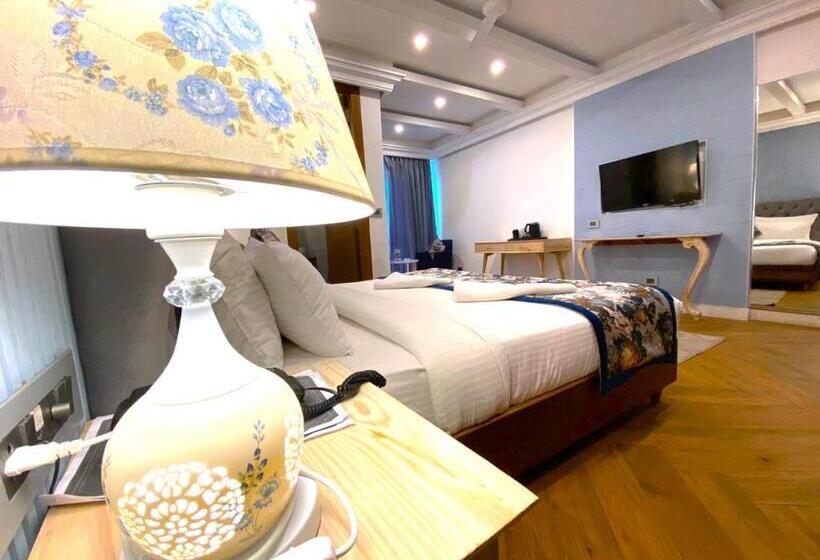 חדר סופריור עם מיטת קינג, The Sapling Manor